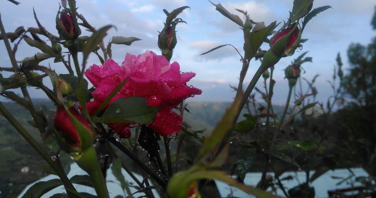 Yogadaa Royal Resort Mahabaleshwar Luaran gambar